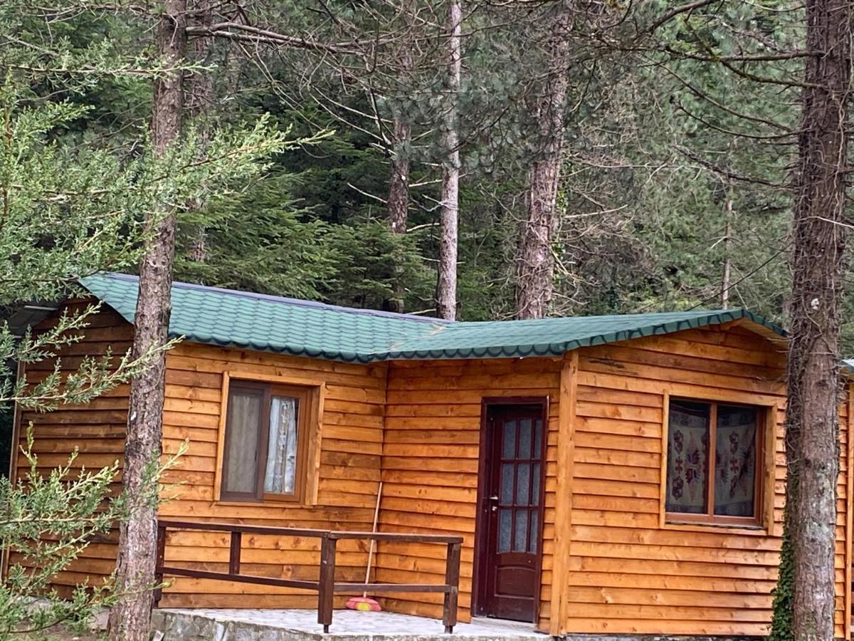 Bujtina Uji I Panjes, Log Cabins Dukat Exterior photo
